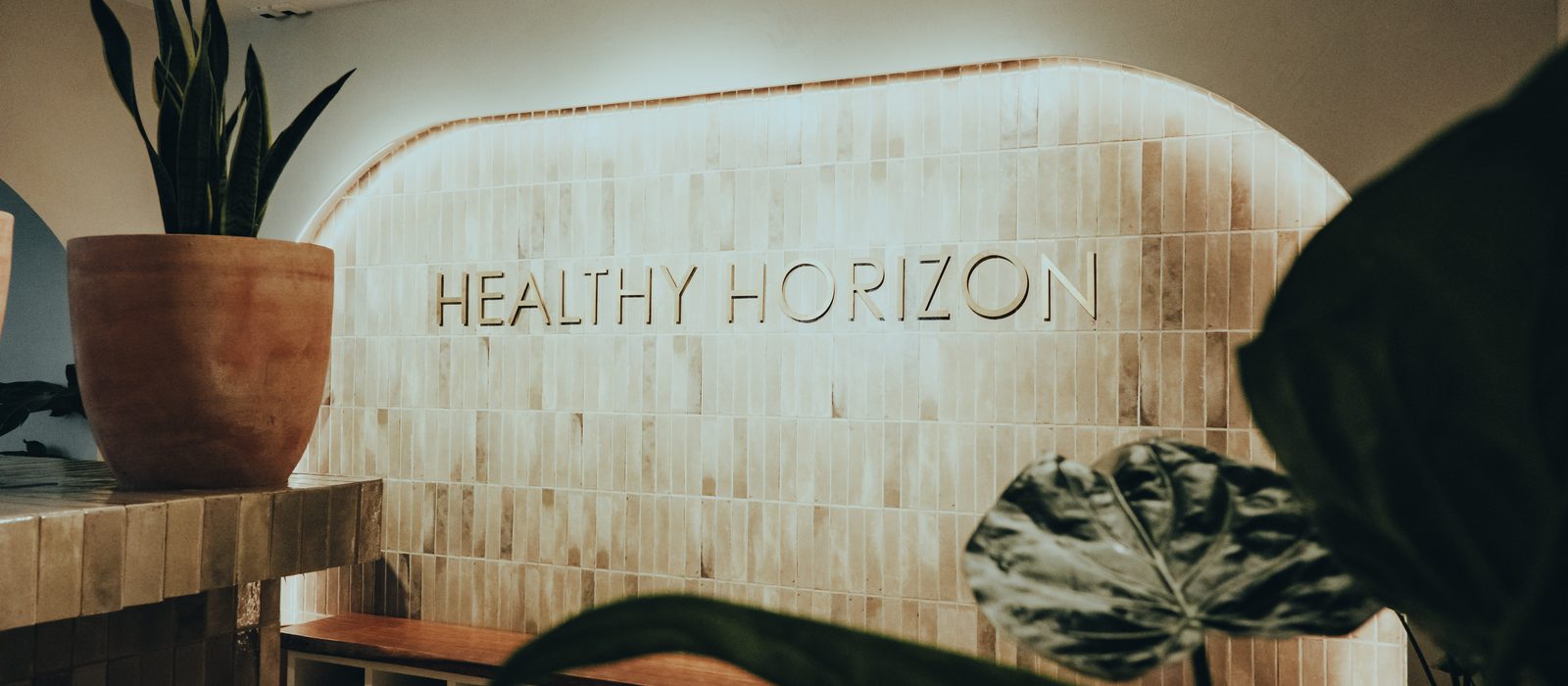 The Healthy Horizon team